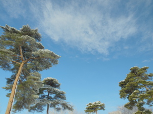 クリックすると拡大できます　→◎雪枝ファンタジー2