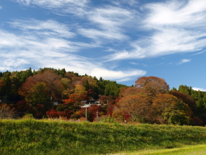 クリックすると拡大できます！→◎もみじ寺遠景